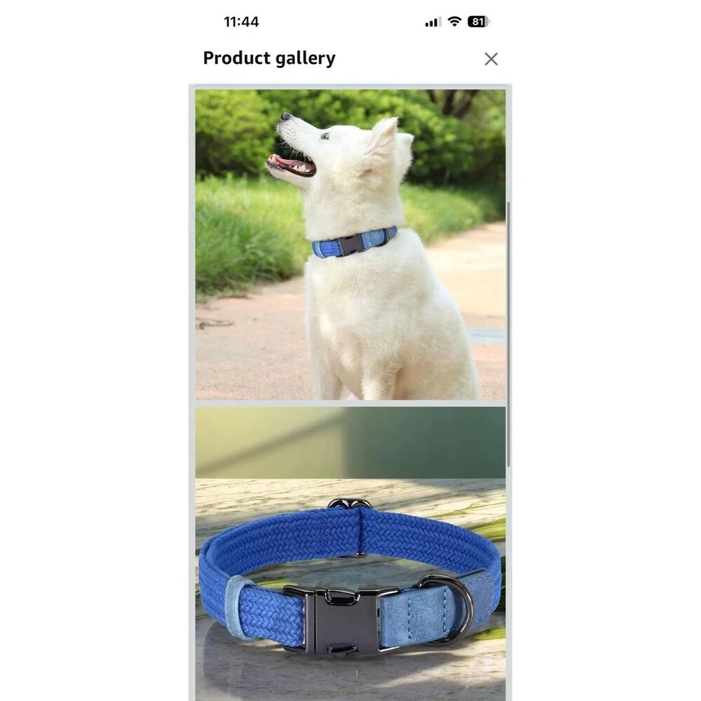 Pet Artist Adjustable Nylon Collar Soft Padded Quick-Release Buckle D-Ring Med